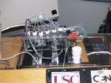 P5020368